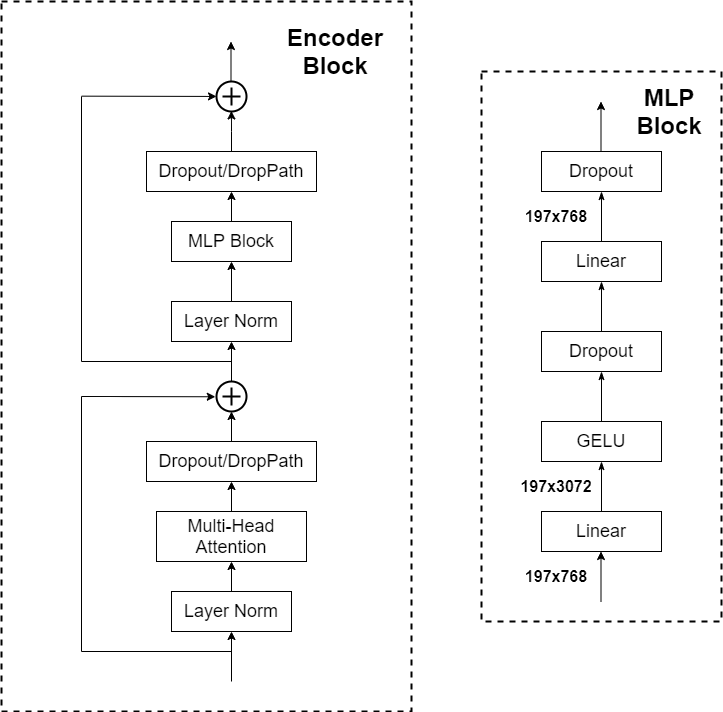 ViT Encoder