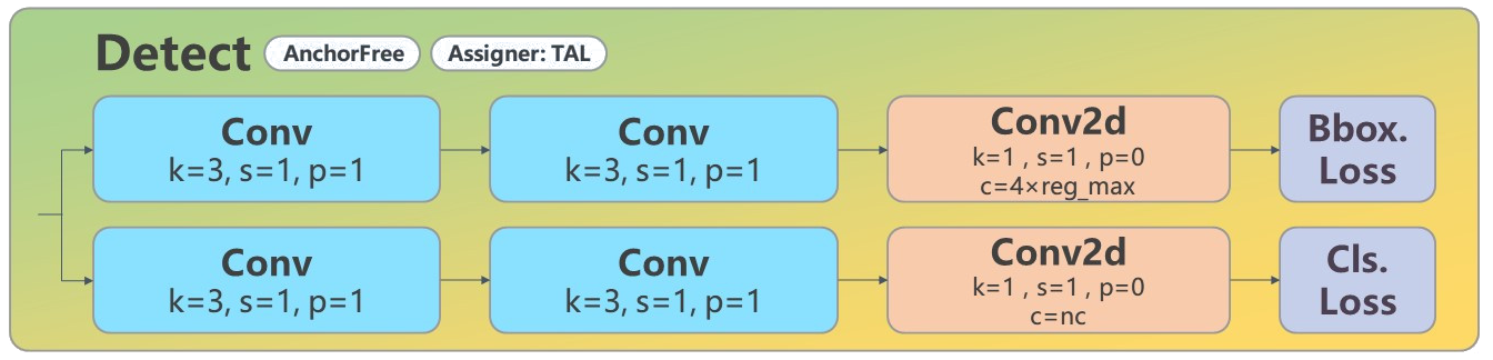 YOLOv8 検出ヘッド構造